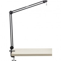 1579181432_IMG_1304748