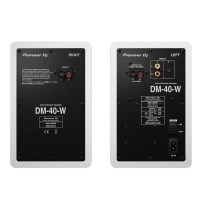 pioneer-dm40w-pairrear