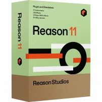 reason11